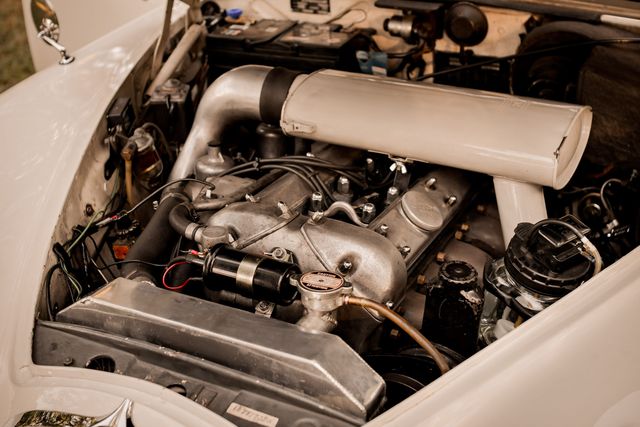Motor