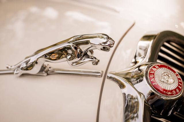 Der weiße Jaguar S-Type