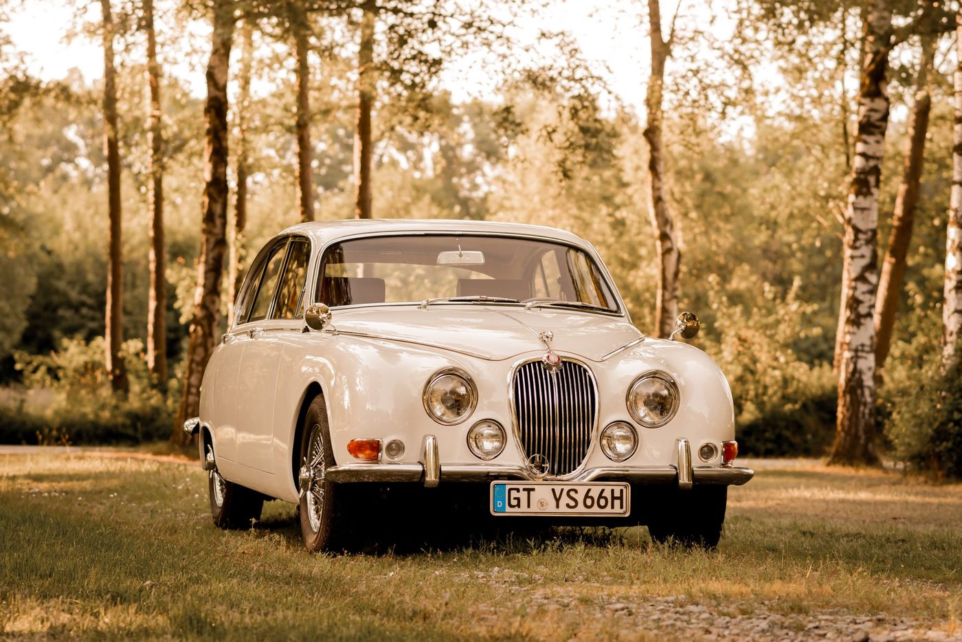 Der Jaguar mit geöffneten Türen